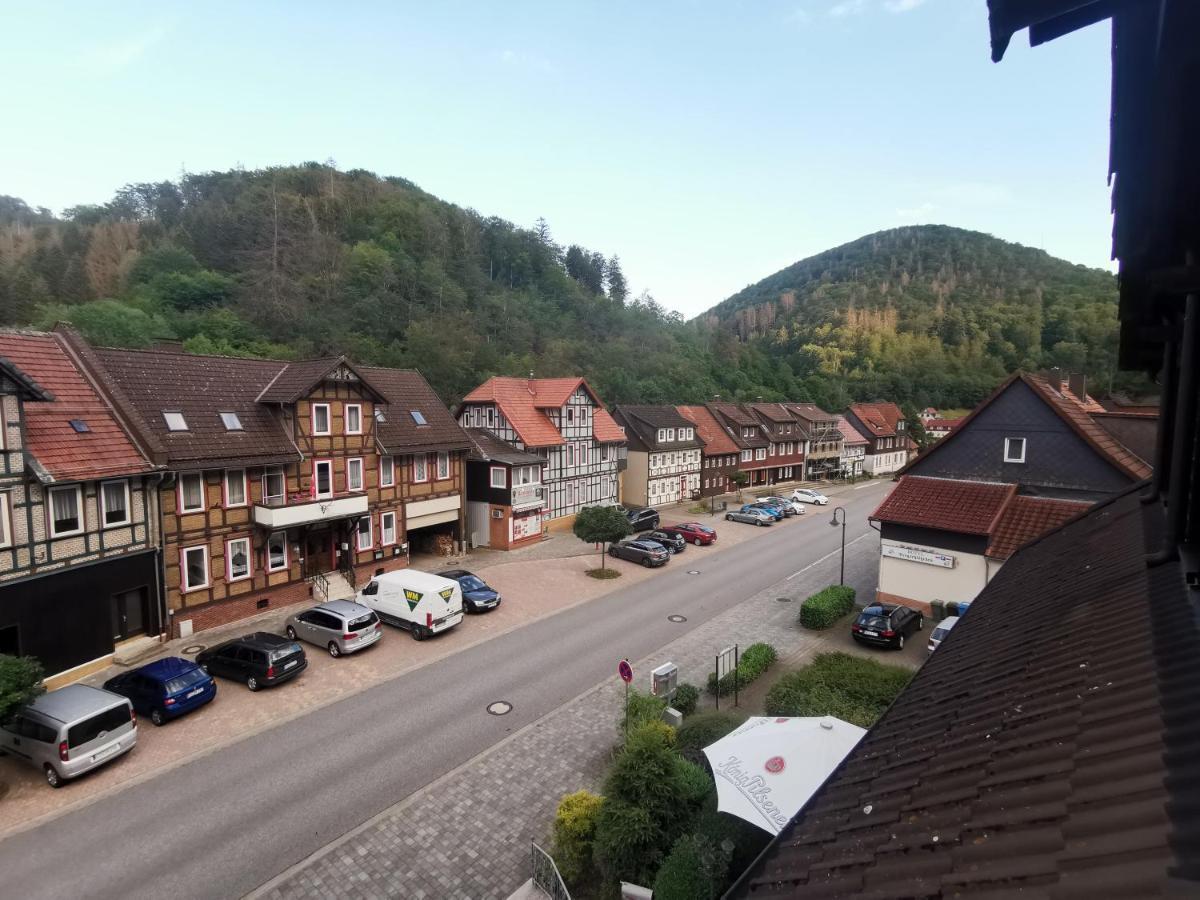 Hotel And Restaurant Bergschloesschen Zorge Buitenkant foto