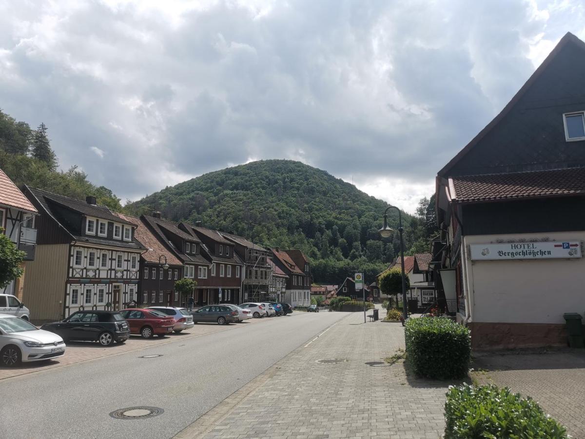 Hotel And Restaurant Bergschloesschen Zorge Buitenkant foto