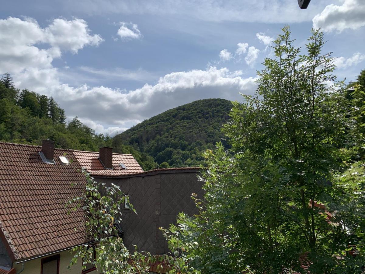 Hotel And Restaurant Bergschloesschen Zorge Buitenkant foto